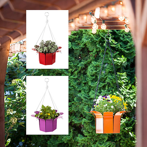 Petals Hanging Baskets for Pearhut by Detroit product photographer Don Schulte: Detroit Food photography, Product Photography, Architectural Photography by Don Schulte